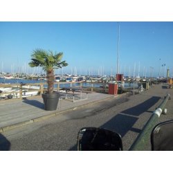 Frederikshavn Marina K/S