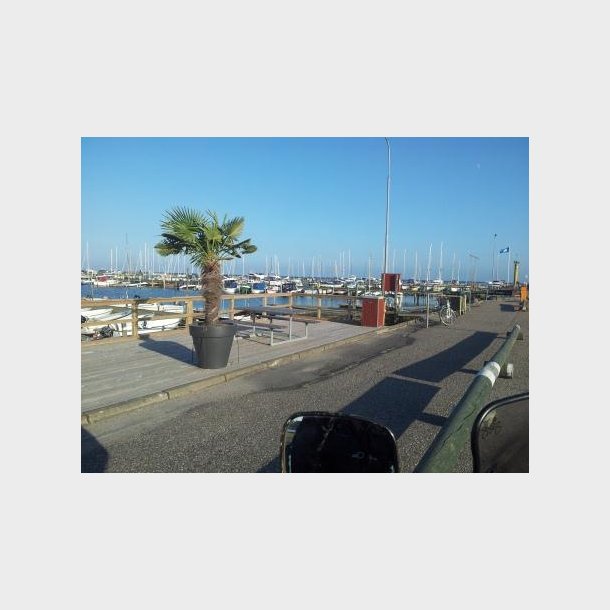 Frederikshavn Marina K/S
