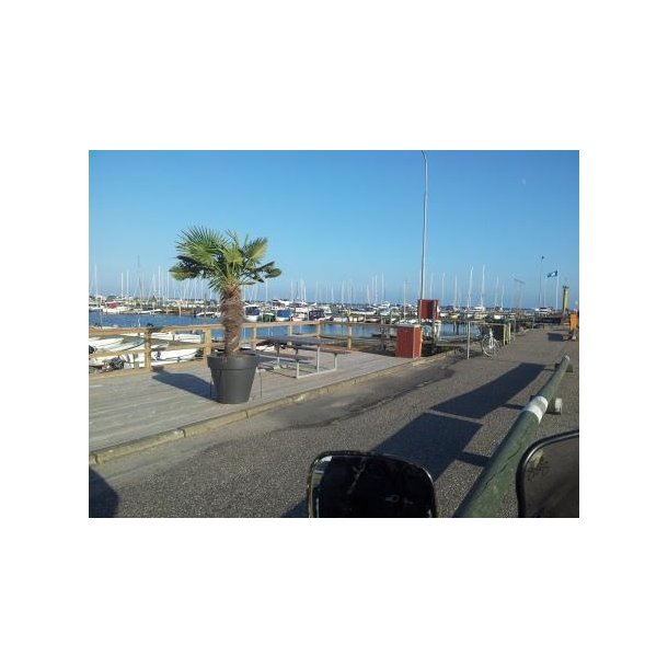 Frederikshavn Marina K/S