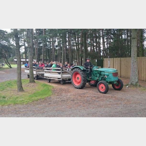 Farm Fun