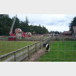 Farm Fun