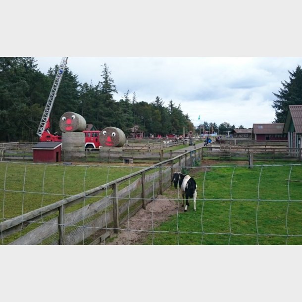 Farm Fun