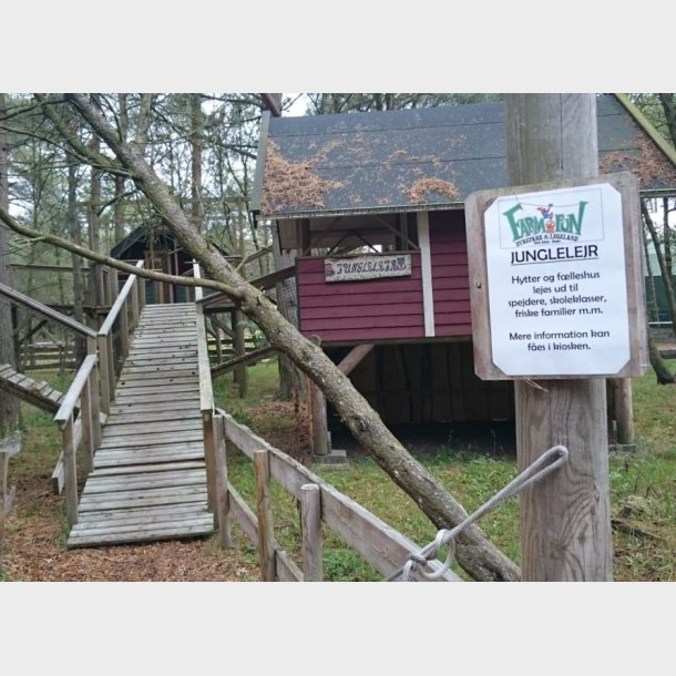 Farm Fun