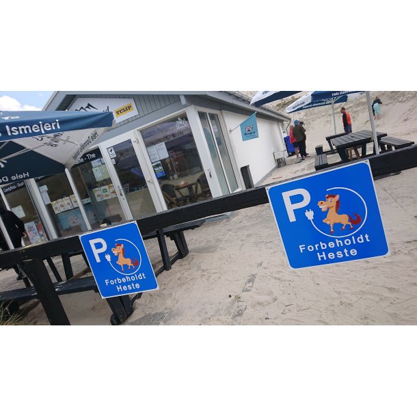 Saltum Strand Iscaf�