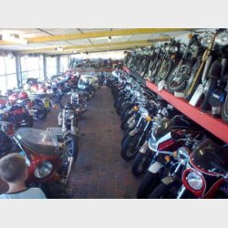 Hedebo Classic MC