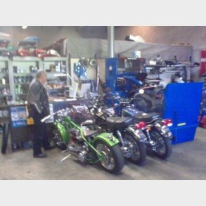 Garage Danios