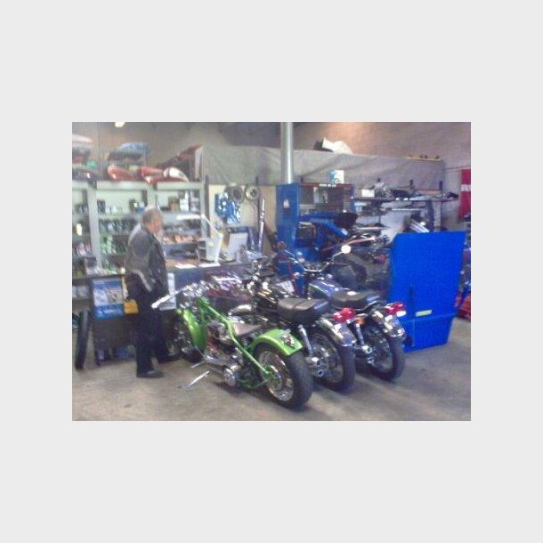 Garage Danios