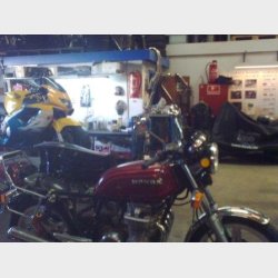 Garage Danios