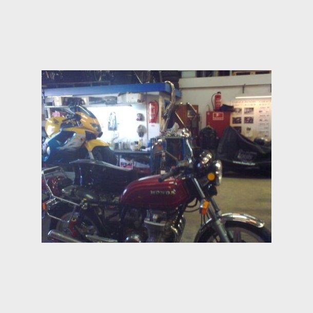 Garage Danios