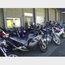 Garage Danios
