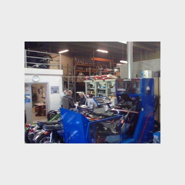 Garage Danios
