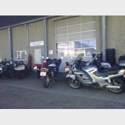 Garage Danios