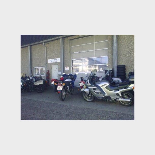 Garage Danios