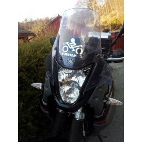 Einar Wilson. Norge.