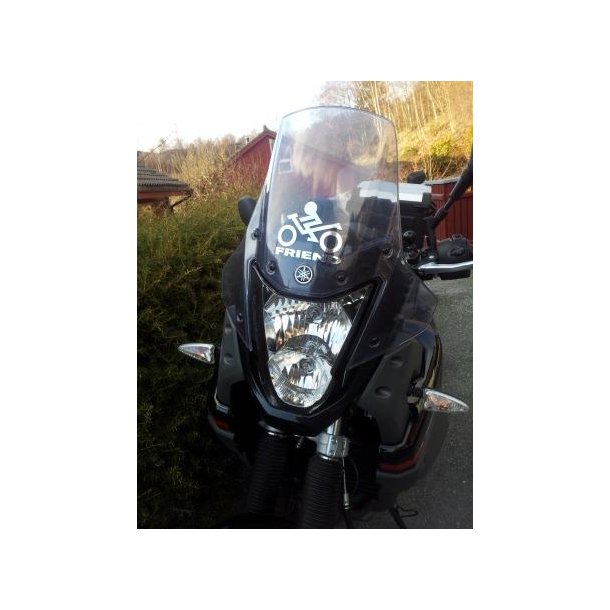 Einar Wilson. Norge.