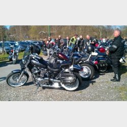 Palle Kongshavn