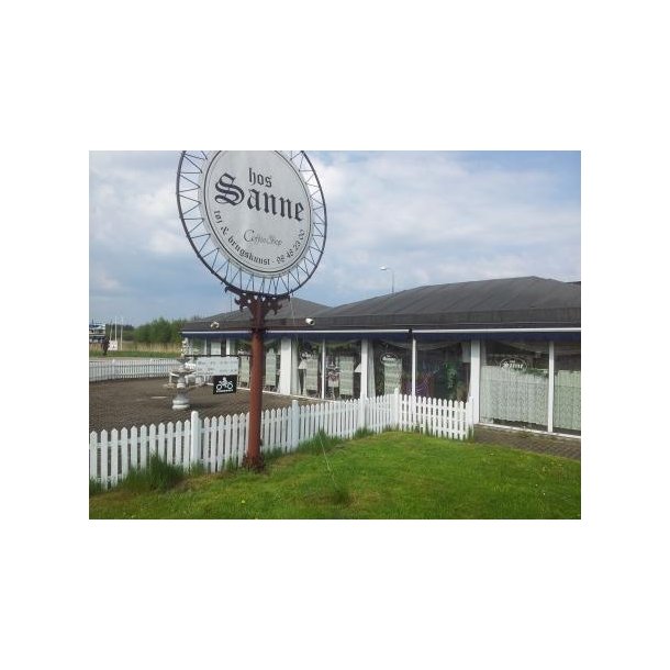 Hos Sanne