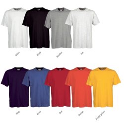 T-Shirt. Basic Model