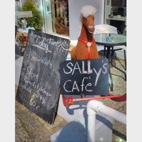 Sally's Caf�