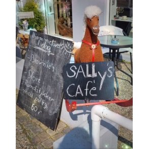 Sally's Caf�