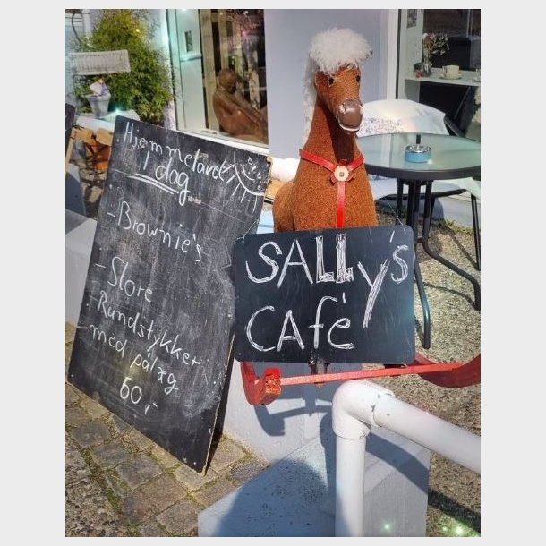 Sally's Caf�